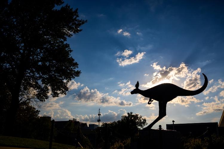 Silhouette of Roo statue